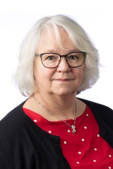 Bild på Åsa Malmström